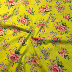 صن شاين ميدوز -JNFBR-13006